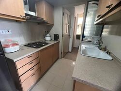 Nineteen Shelford Road (D11), Condominium #583114241